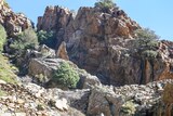 Scala Di Santa Regina Corsica