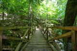 Pont en bois vizzavona