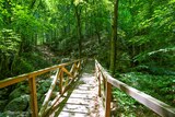 Pont sur le Vecchio