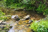 Roticcelle Stream